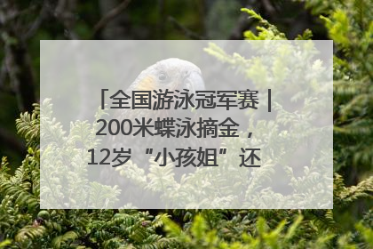 全国游泳冠军赛｜200米蝶泳摘金，12岁“小孩姐”还能制造多少惊喜？