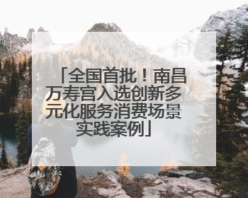 全国首批！南昌万寿宫入选创新多元化服务消费场景实践案例
