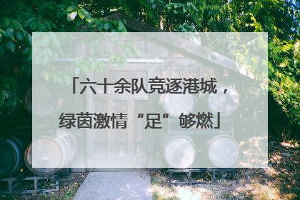 六十余队竞逐港城,绿茵激情“足”够燃
