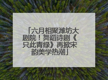 六月相聚潍坊大剧院！舞蹈诗剧《只此青绿》再掀宋韵美学热潮