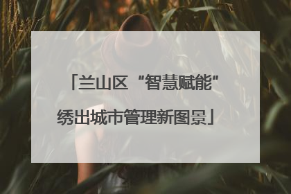 兰山区“智慧赋能”绣出城市管理新图景