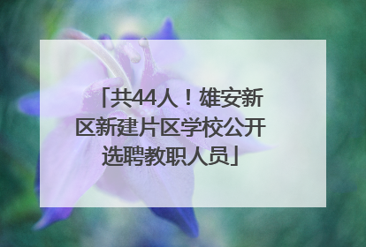 共44人！雄安新区新建片区学校公开选聘教职人员