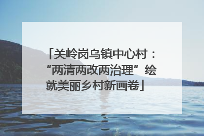关岭岗乌镇中心村：“两清两改两治理”绘就美丽乡村新画卷