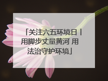关注六五环境日丨用脚步丈量黄河 用法治守护环境