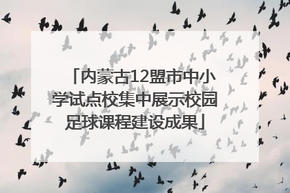 内蒙古12盟市中小学试点校集中展示校园足球课程建设成果