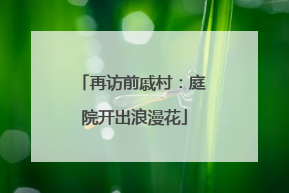再访前戚村：庭院开出浪漫花