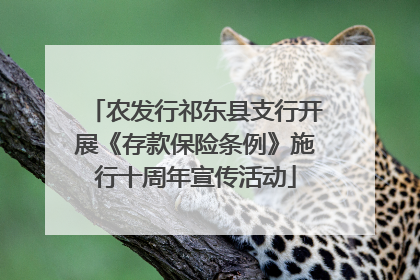 农发行祁东县支行开展《存款保险条例》施行十周年宣传活动