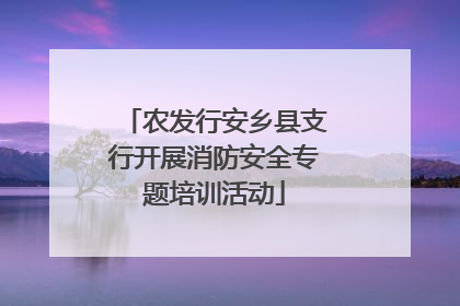 农发行安乡县支行开展消防安全专题培训活动
