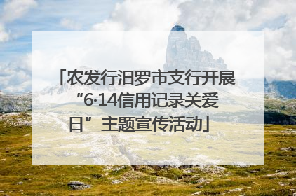 农发行汨罗市支行开展“6·14信用记录关爱日”主题宣传活动