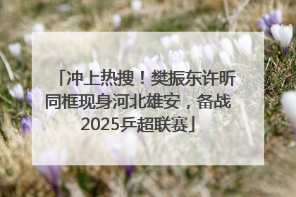 冲上热搜！樊振东许昕同框现身河北雄安，备战2025乒超联赛