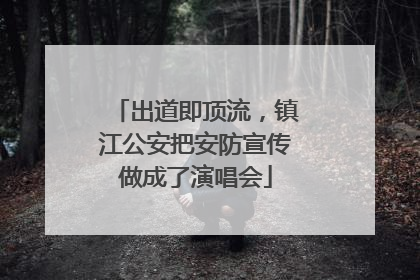 出道即顶流，镇江公安把安防宣传做成了演唱会