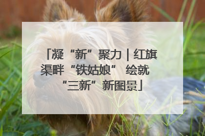 凝“新”聚力｜红旗渠畔“铁姑娘” 绘就“三新”新图景