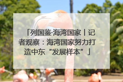 列国鉴·海湾国家丨记者观察：海湾国家努力打造中东“发展样本”
