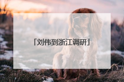 刘伟到浙江调研