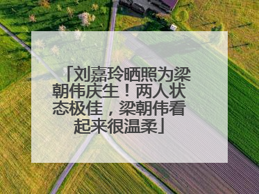 刘嘉玲晒照为梁朝伟庆生！两人状态极佳，梁朝伟看起来很温柔
