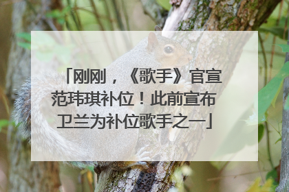 刚刚，《歌手》官宣范玮琪补位！此前宣布卫兰为补位歌手之一