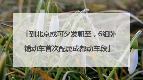 到北京或可夕发朝至，6组卧铺动车首次配属成都动车段