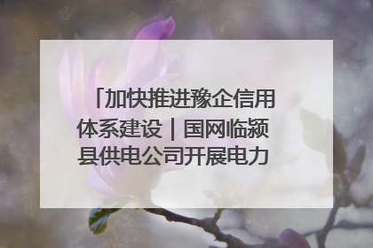 加快推进豫企信用体系建设｜国网临颍县供电公司开展电力行业信用企业现场咨询访谈工作