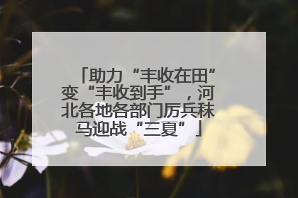 助力“丰收在田”变“丰收到手”，河北各地各部门厉兵秣马迎战“三夏”