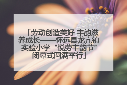 劳动创造美好 丰韵滋养成长——怀远县龙亢镇实验小学“悦劳丰韵节”闭幕式圆满举行