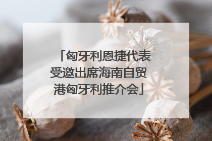 匈牙利恩捷代表受邀出席海南自贸港匈牙利推介会