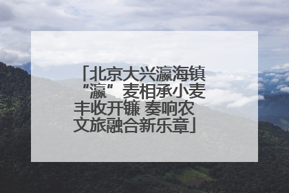 北京大兴瀛海镇“瀛”麦相承小麦丰收开镰 奏响农文旅融合新乐章