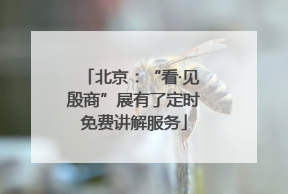 北京：“看·见殷商”展有了定时免费讲解服务