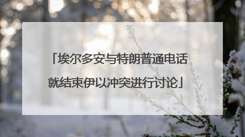 埃尔多安与特朗普通电话 就结束伊以冲突进行讨论