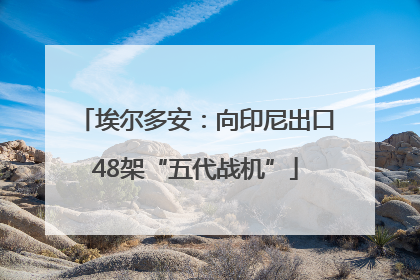 埃尔多安：向印尼出口48架“五代战机”