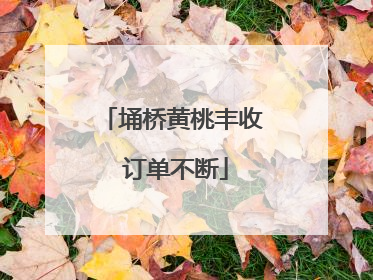 埇桥黄桃丰收 订单不断