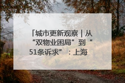城市更新观察｜从“双物业困局”到“51条诉求”：上海市中心的老旧社区改造如何破题过关？