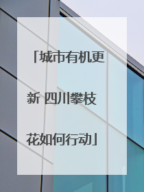城市有机更新 四川攀枝花如何行动