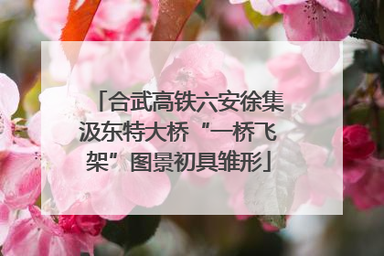 合武高铁六安徐集汲东特大桥“一桥飞架”图景初具雏形