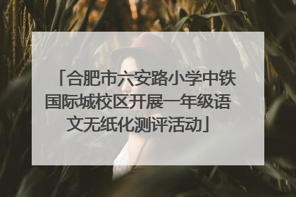 合肥市六安路小学中铁国际城校区开展一年级语文无纸化测评活动