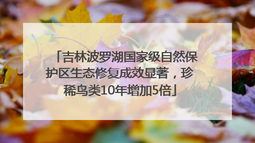 吉林波罗湖国家级自然保护区生态修复成效显著，珍稀鸟类10年增加5倍
