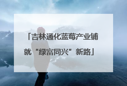 吉林通化蓝莓产业铺就“绿富同兴”新路