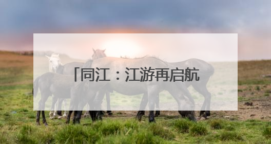 同江：江游再启航 释放“夜经济”