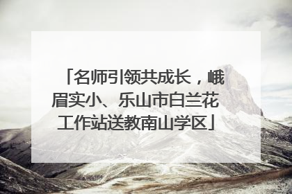名师引领共成长，峨眉实小、乐山市白兰花工作站送教南山学区