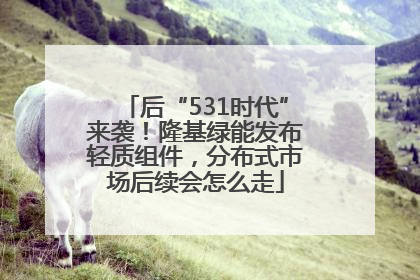 后“531时代”来袭！隆基绿能发布轻质组件，分布式市场后续会怎么走