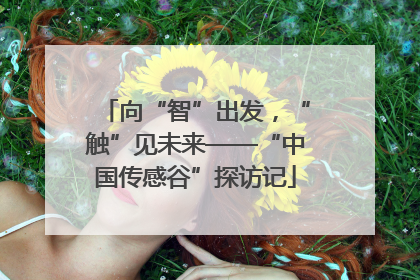 向“智”出发，“触”见未来——“中国传感谷”探访记