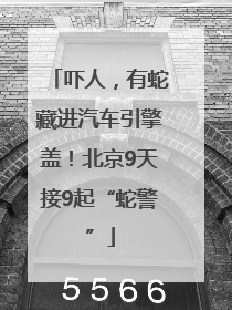 吓人，有蛇藏进汽车引擎盖！北京9天接9起“蛇警”