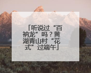 听说过“百衲龙”吗？黄湖青山村“花式”过端午