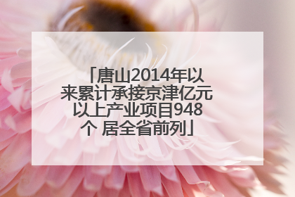 唐山2014年以来累计承接京津亿元以上产业项目948个 居全省前列