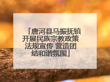 唐河县马振抚镇开展民族宗教政策法规宣传 营造团结和谐氛围