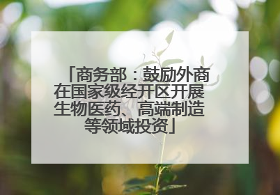 商务部：鼓励外商在国家级经开区开展生物医药、高端制造等领域投资