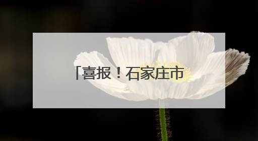 喜报！石家庄市、正定县继续保留全国文明城市荣誉称号 平山县、新乐市获评新一届全国文明城市