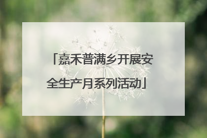 嘉禾普满乡开展安全生产月系列活动
