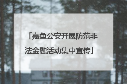 嘉鱼公安开展防范非法金融活动集中宣传