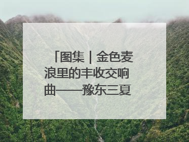 图集｜金色麦浪里的丰收交响曲——豫东三夏抢收纪实