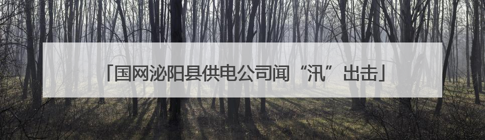 国网泌阳县供电公司闻“汛”出击
